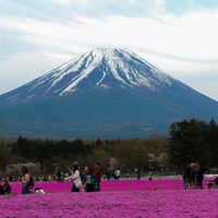 Japón tiene un grave problema con el Monte Fuji. La solución trae más dolores de cabeza de los que ya está dejando 