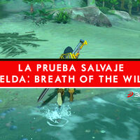 Zelda Breath of the Wild, cómo completar la Prueba Heroica 'La Prueba Salvaje' para acceder al Santuario de Sarshii 