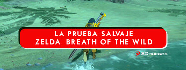 Zelda Breath of the Wild, cómo completar la Prueba Heroica 'La Prueba Salvaje' para acceder al Santuario de Sarshii 